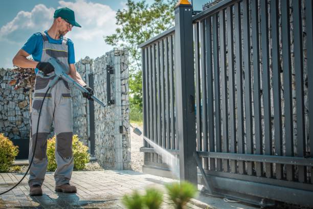 Best Roof Washing  in Dana, NC